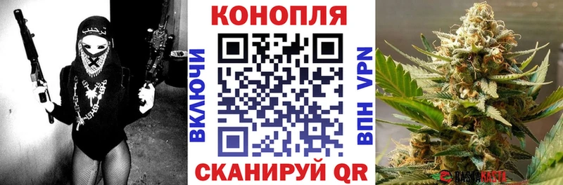 Канабис планчик Ленинск-Кузнецкий
